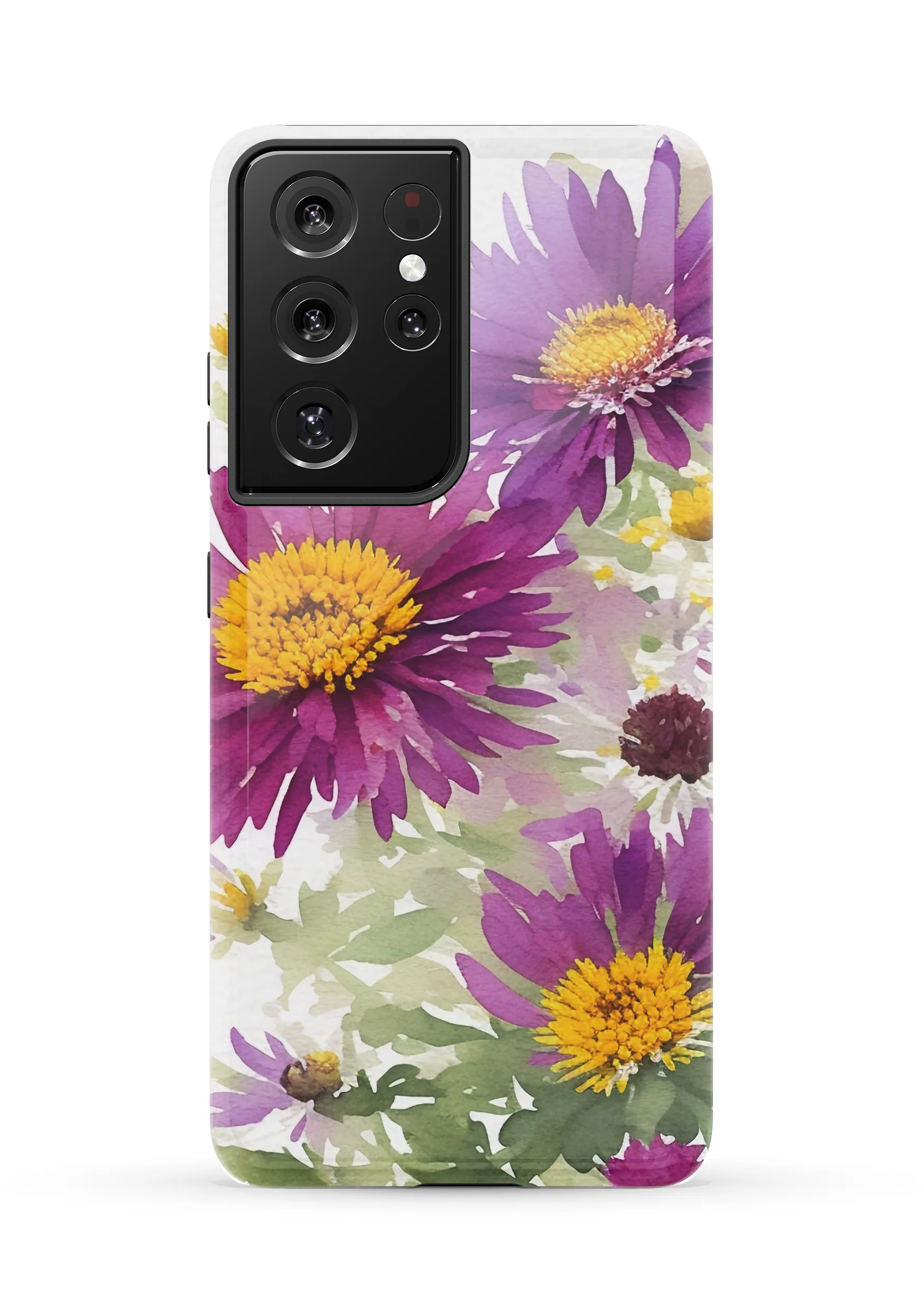 Aster Violetta Case