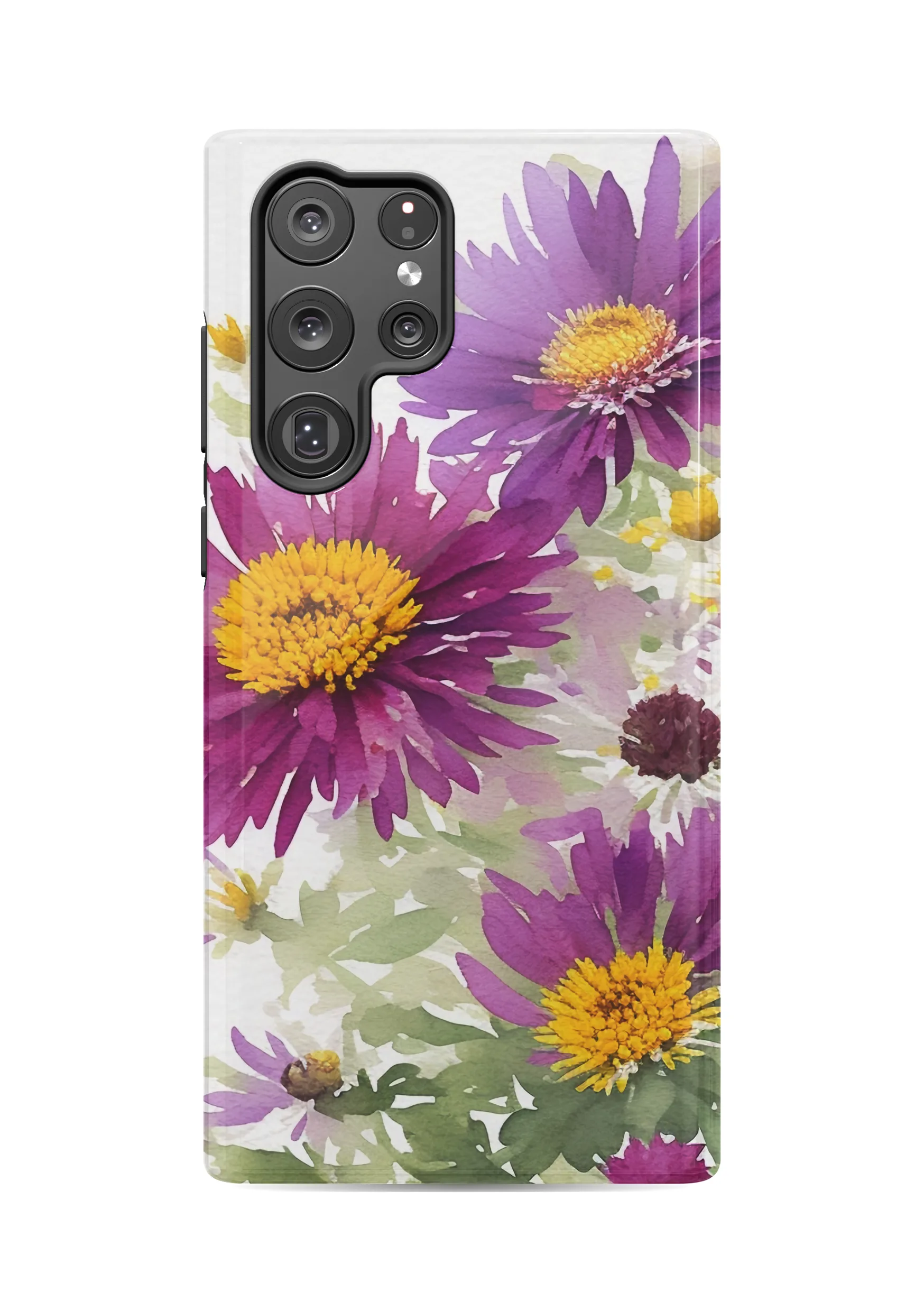 Aster Violetta Case