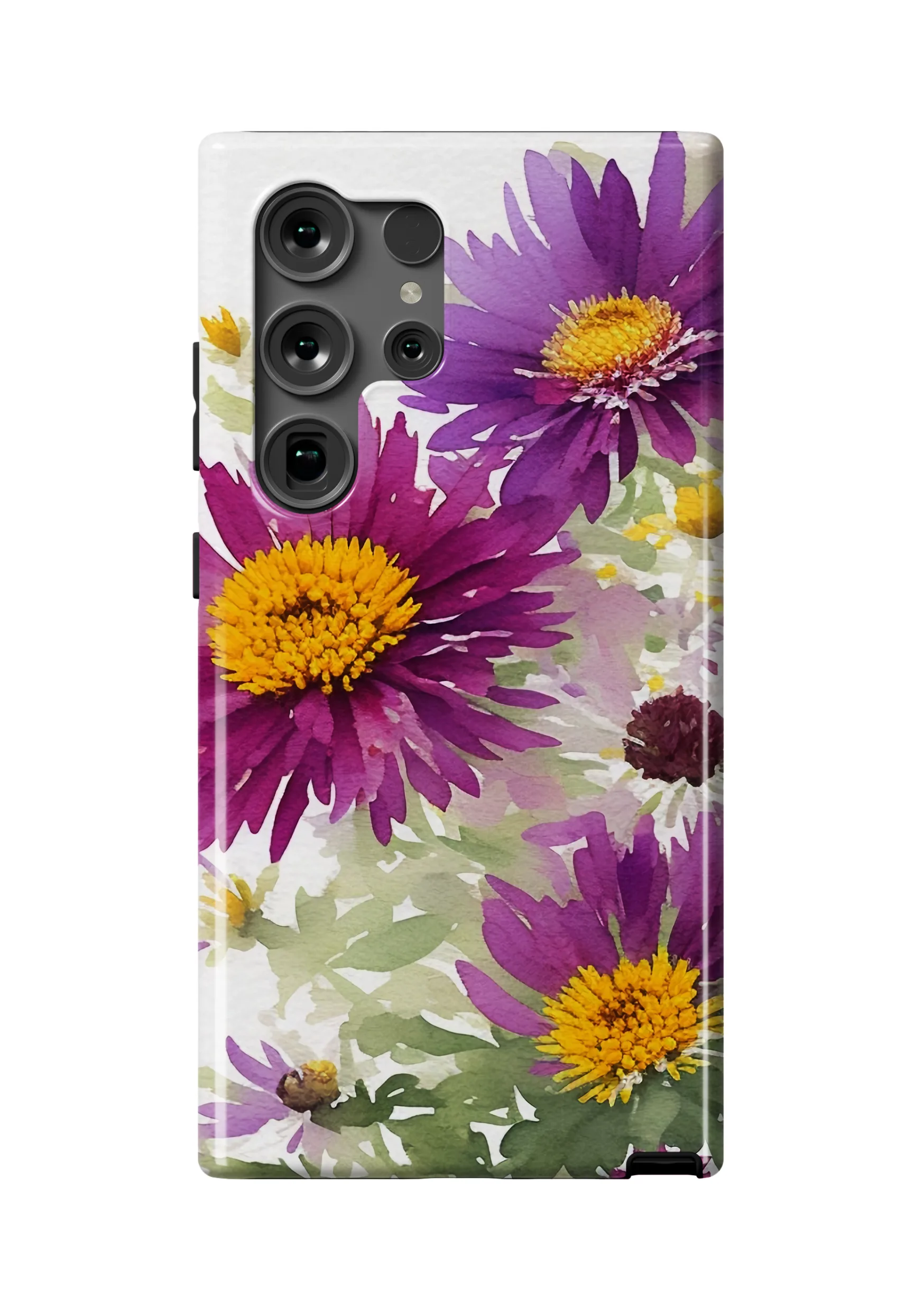Aster Violetta Case