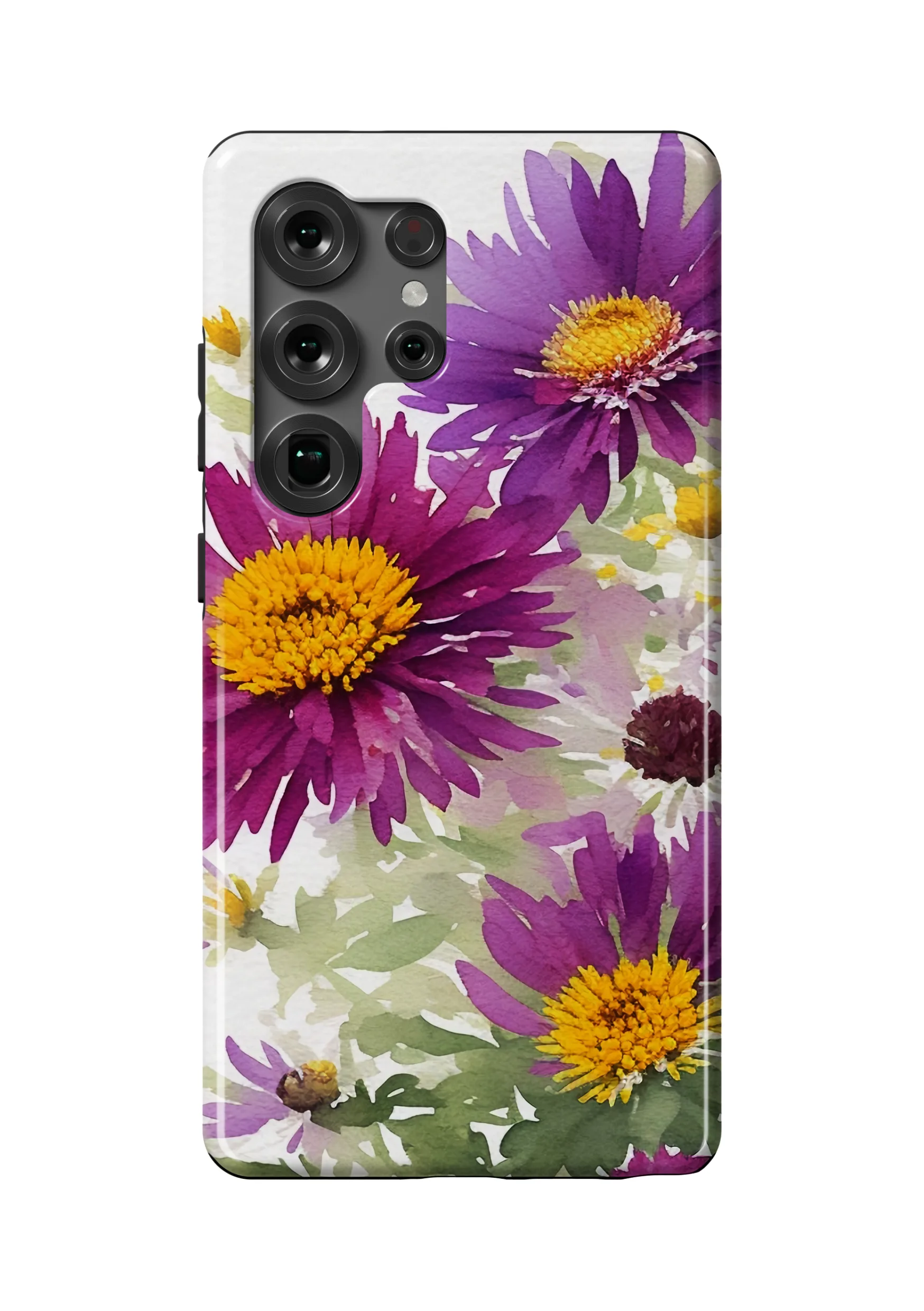 Aster Violetta Case