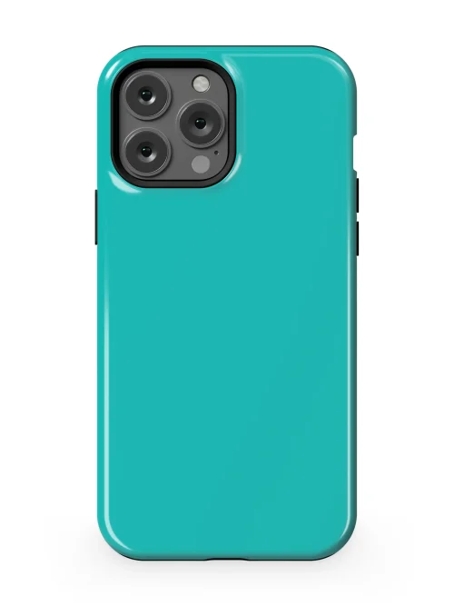 Aqua Teal Case