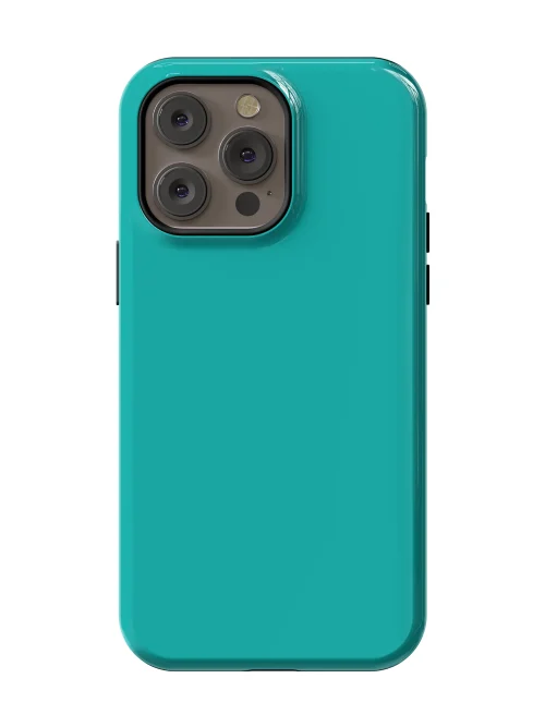 Aqua Teal Case