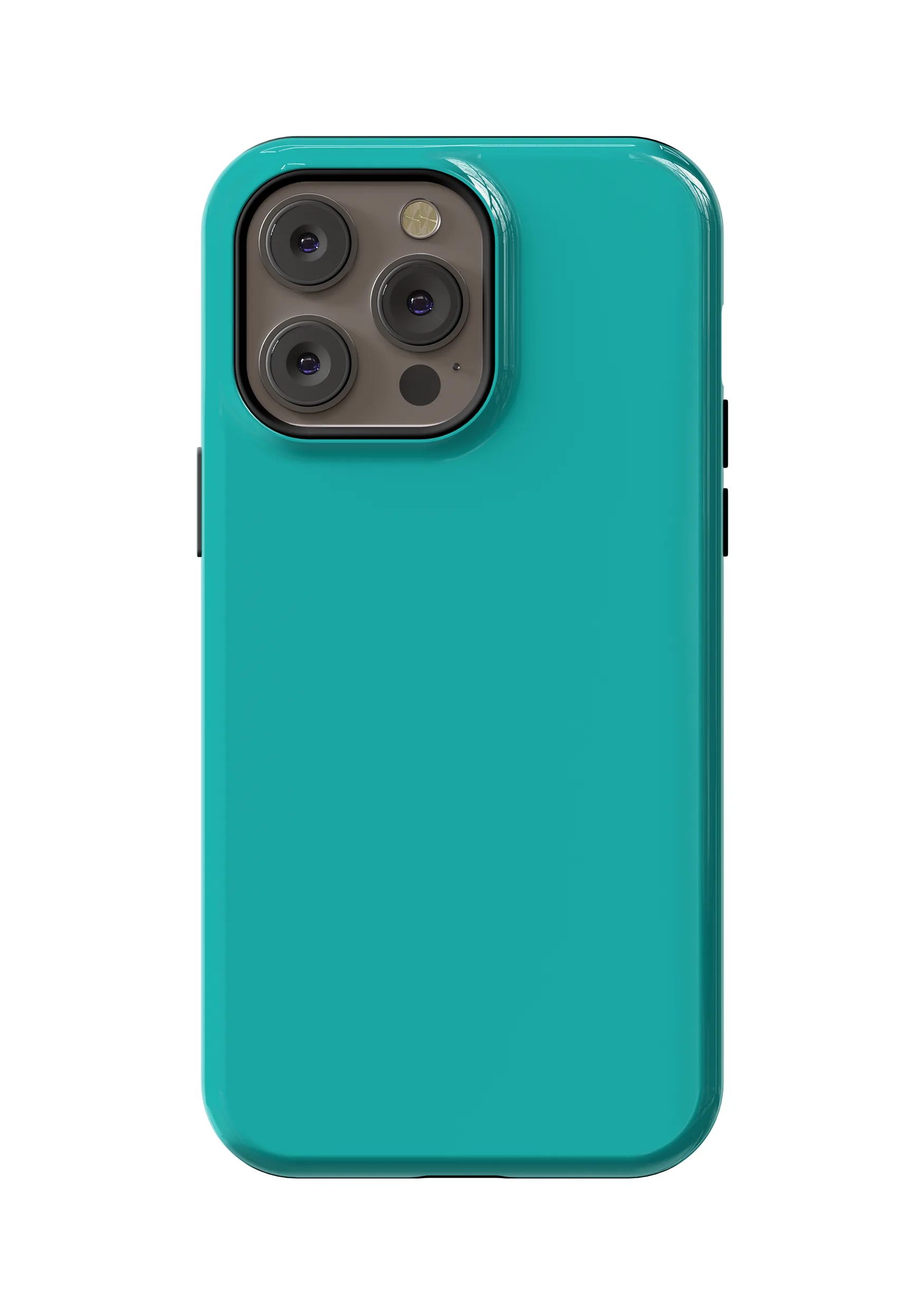 Aqua Teal Case