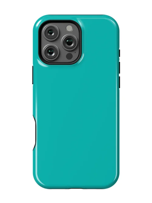 Aqua Teal Case