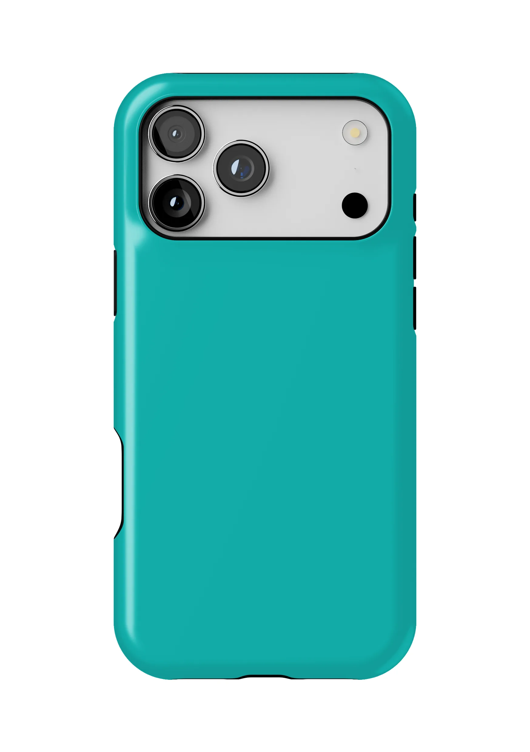 Aqua Teal Case