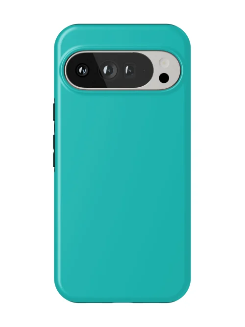 Aqua Teal Case