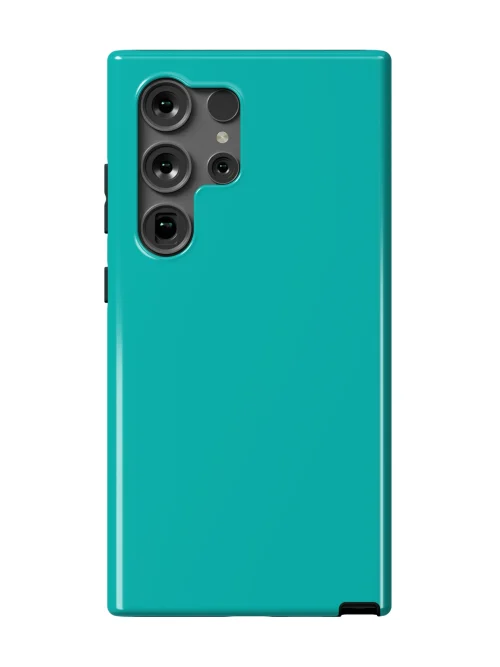 Aqua Teal Case