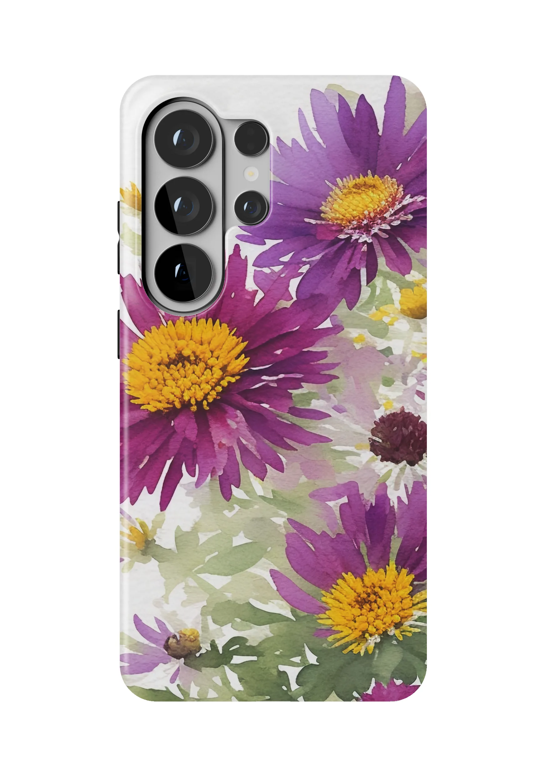 Aster Violetta Case
